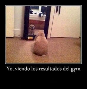 aplicacion para hacer carteles gratis