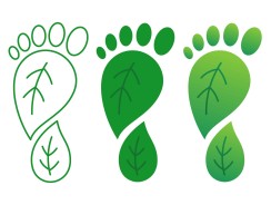Mejores Webs de Zapatillas Barefoot : Guía 2026